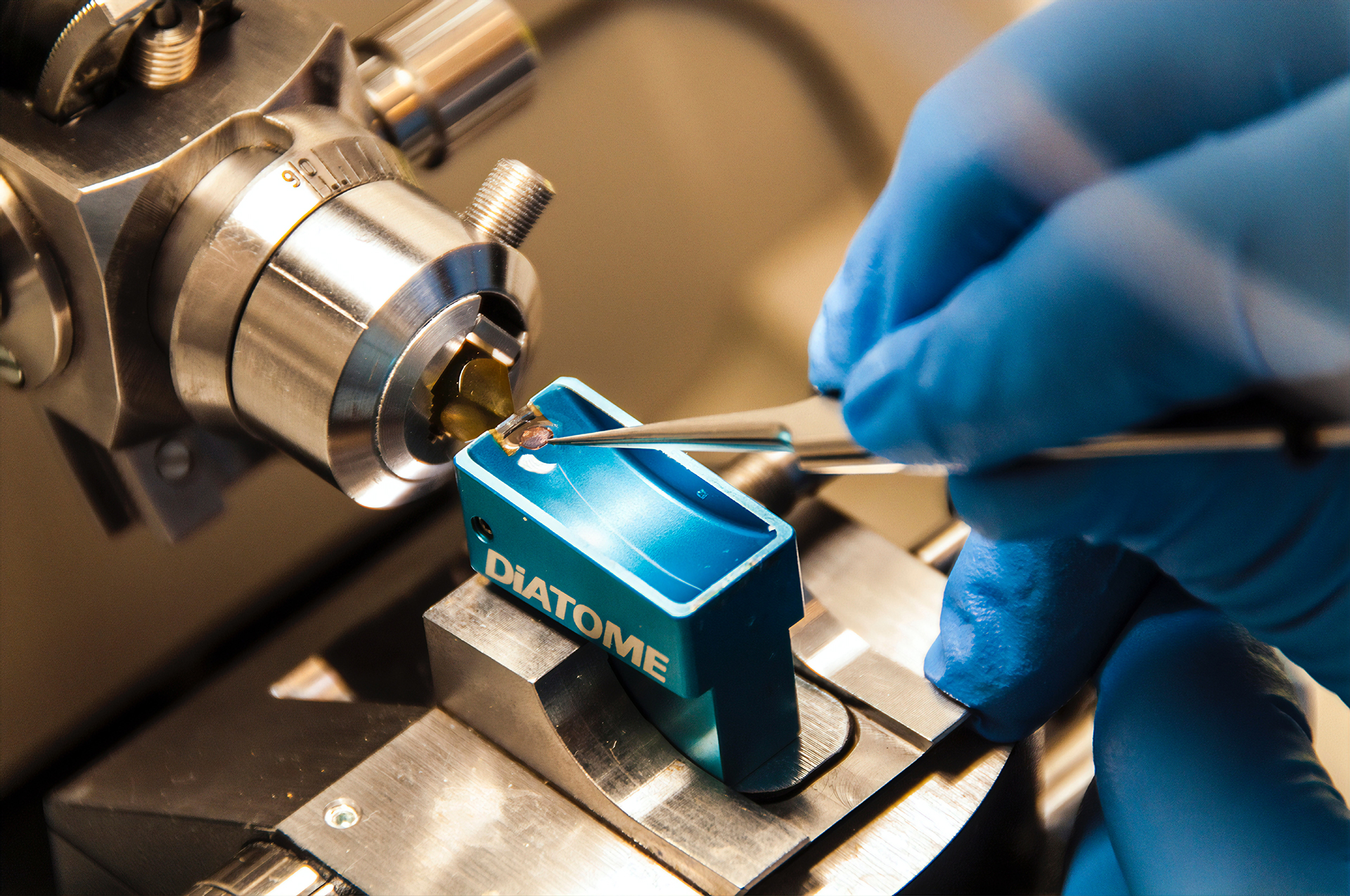 Pronaque mortales quanto gravitate mollia